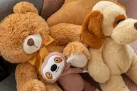 vista-superior-lindos-animales-peluche_23-2150573767